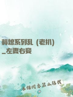 翁熄系列乱 (老扒)